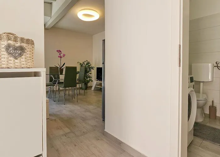 Lux * Novigrad (Istria)